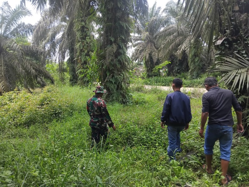 Babinsa Kopda Gunariadi Gelar Patroli Karhutla di Perawang Barat, Tidak Ditemukan Titik Api