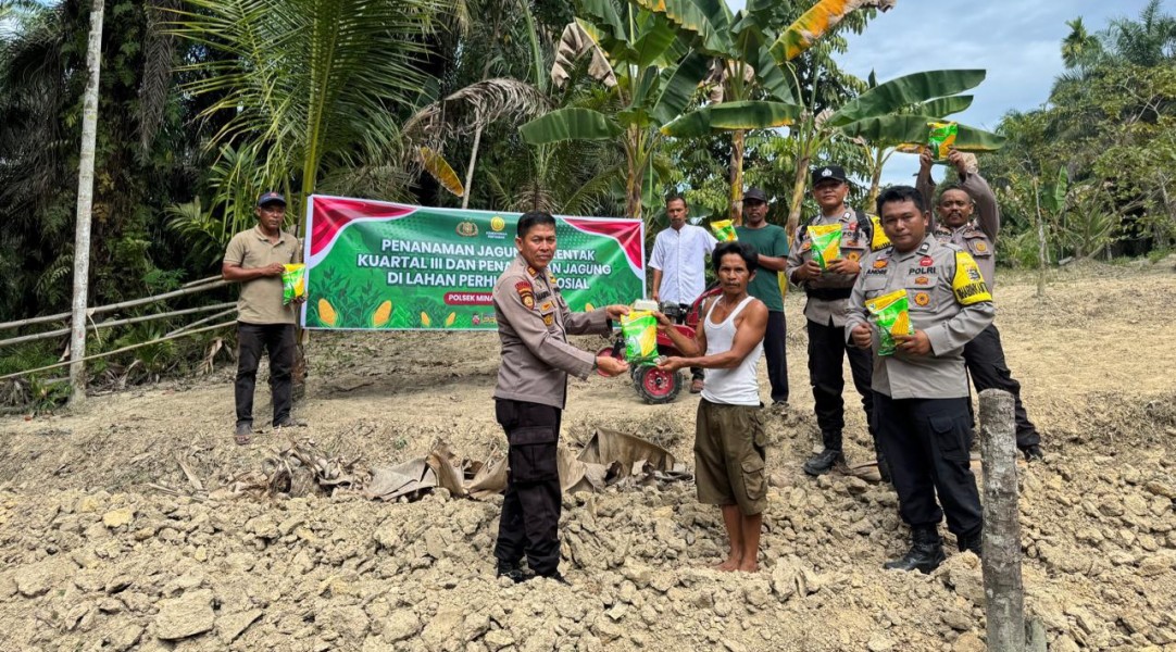 Polsek Minas Turut Sukseskan Penanaman Jagung Serentak di Kampung Rantau Bertuah