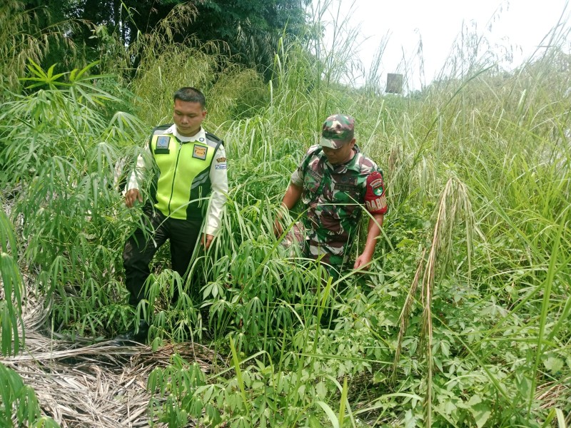 Babinsa Sertu Sugiarto Patroli Karhutla di Kampung Rantau Bertuah, Tidak Ditemukan Titik Api maupun Asap