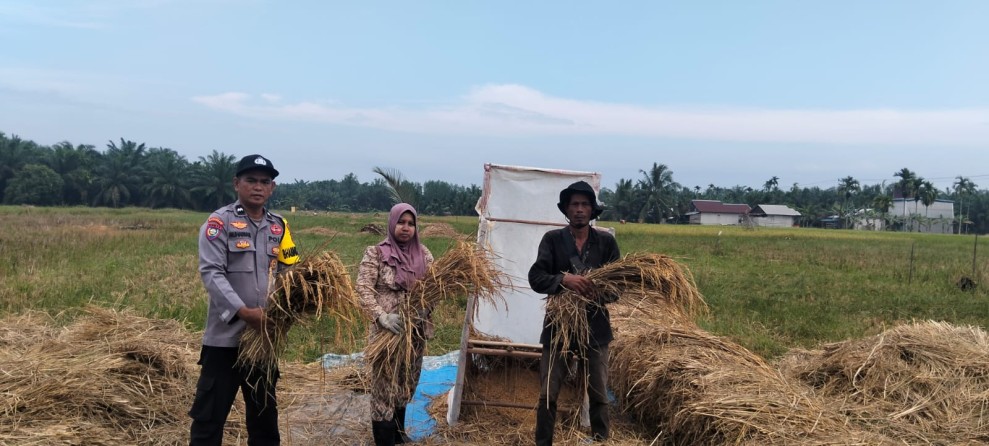 Polsek Reteh Dukung Panen Padi Demi Perkuat Ketahanan Pangan Nasional