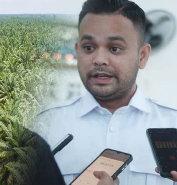 PT. Agrinas Diduga Dikuasai Mafia Sawit, Elang 3 Hambalang Tuntut Wadirut Dicopot