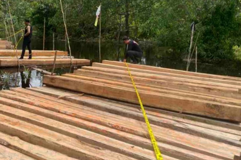 Polres Kepulauan Meranti Amankan 8 Ton Kayu Olahan dan 1 Pelaku di Sungai Pertas