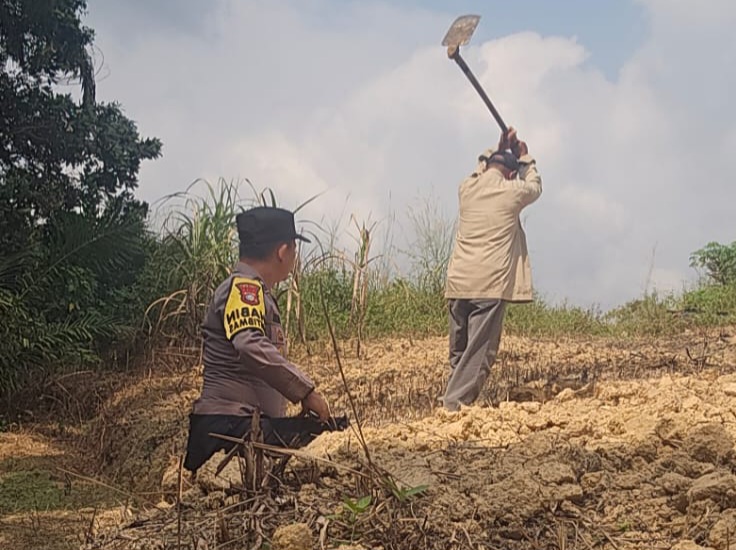 Persiapan Tanam Kuartal II, Kelompok Tani Minas Barat Bersihkan dan Gemburkan Lahan Jagung Pipil