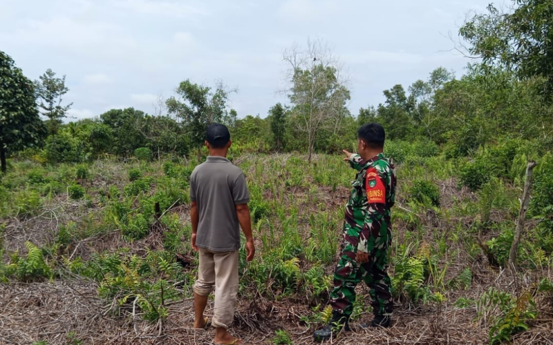 Cegah Karhutla, Babinsa Sertu Mahyudin Pantau Lahan Gambut dan Bantu Warga di Bagan Keladi