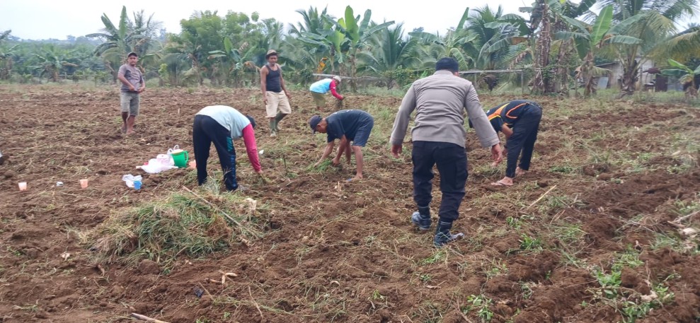 Swasembada Pangan Dengan Jagung Pipil, Ini Yang Dilakukan Polres Inhu