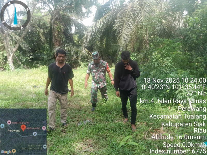 Babinsa Sertu Venus Luberto Laksanakan Patroli Karhutla di Kelurahan Perawang