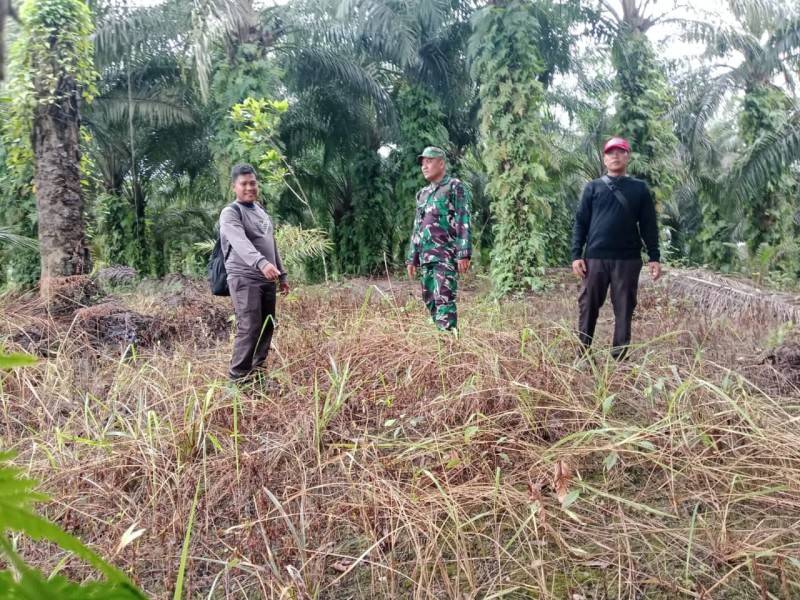 Babinsa Koramil 03/Minas Laksanakan Patroli Karhutla di Kampung Rantau Bertuah, Tidak Ditemukan Titik Api