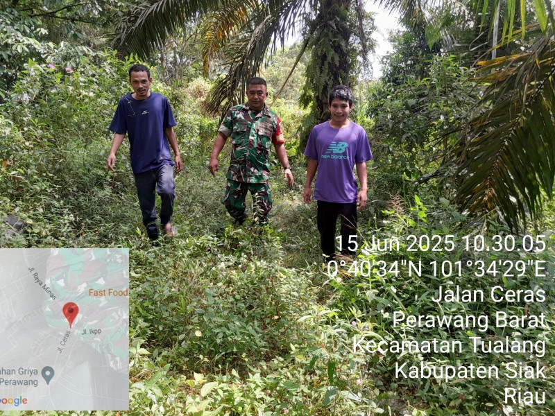 Babinsa Koramil 04/Perawang Laksanakan Patroli Karhutla, Tak Ditemukan Titik Api!