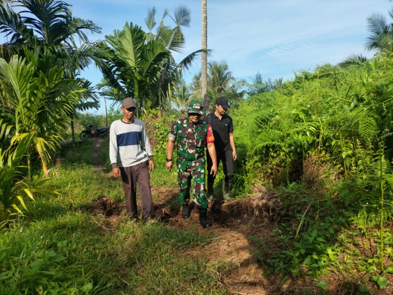 Antisipasi Kebakaran Lahan, Babinsa Koramil 06/Kateman Rutin Laksanakan Patroli Karhutla