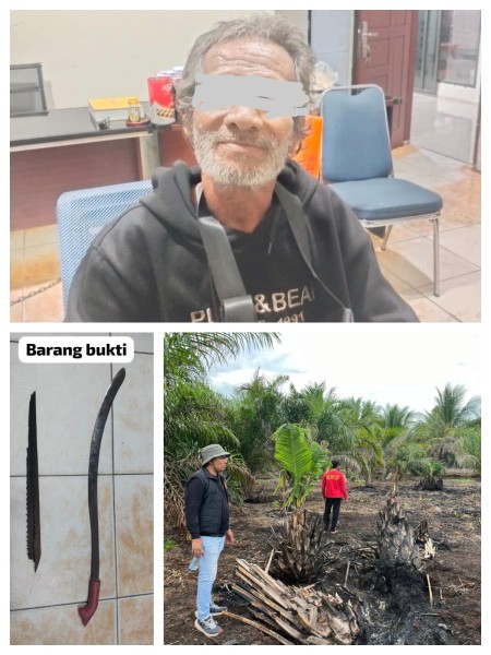 Polres Pelalawan Tangkap Pelaku Karhutla di Teluk Meranti, Penegakan Hukum Diperketat