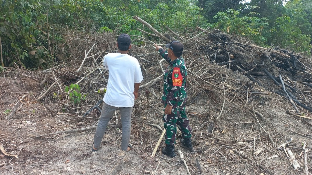 Babinsa Koramil 02/Bukit Kapur Intensifkan Patroli Karhutla di Bukit Nenas