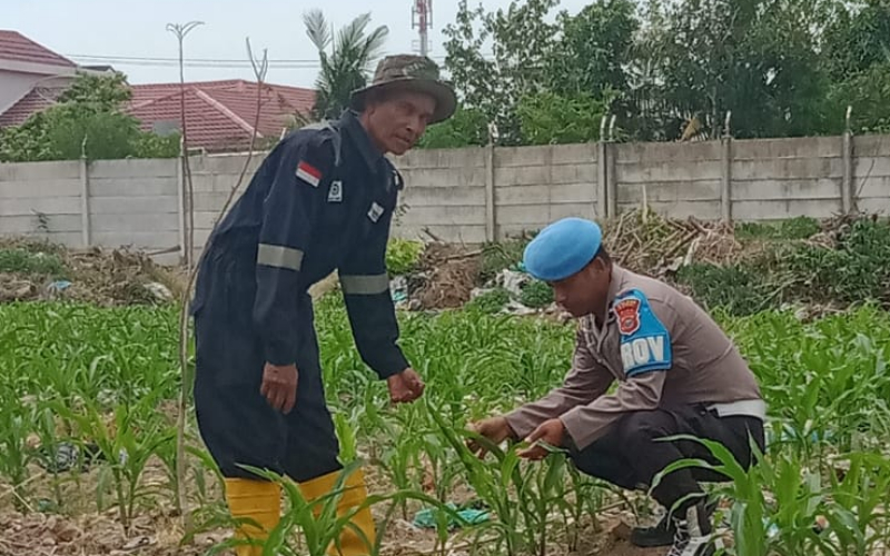 Polsek Kawasan Pelabuhan Dumai Kembangkan Hidroponik Pak Coy di Lingkungan Mako