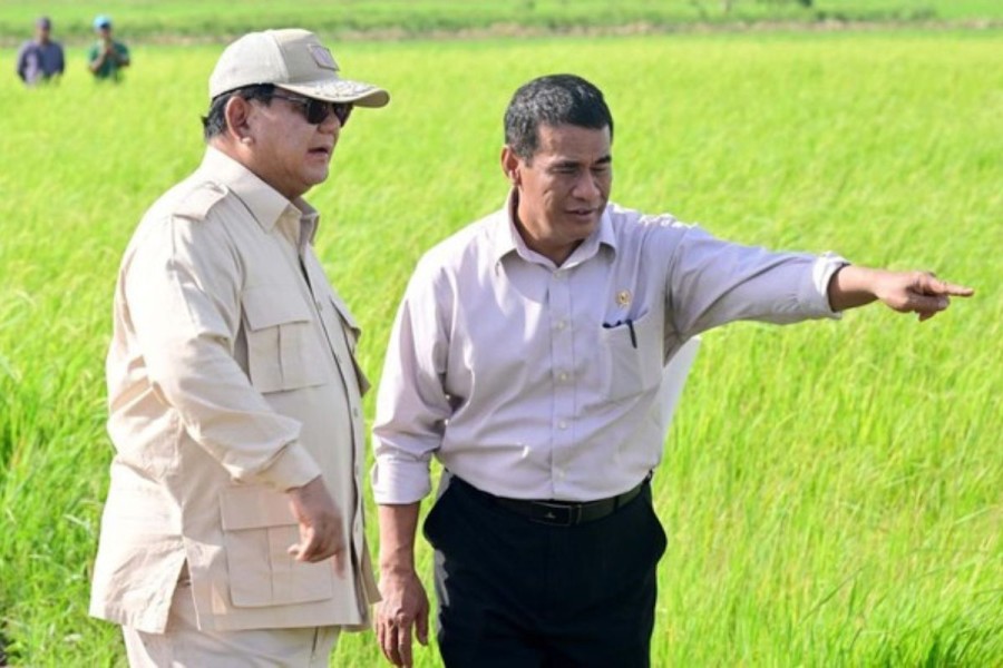 Presiden Prabowo Prioritaskan Pemulihan 70.000 Hektare Sawah Rusak di Sumatra