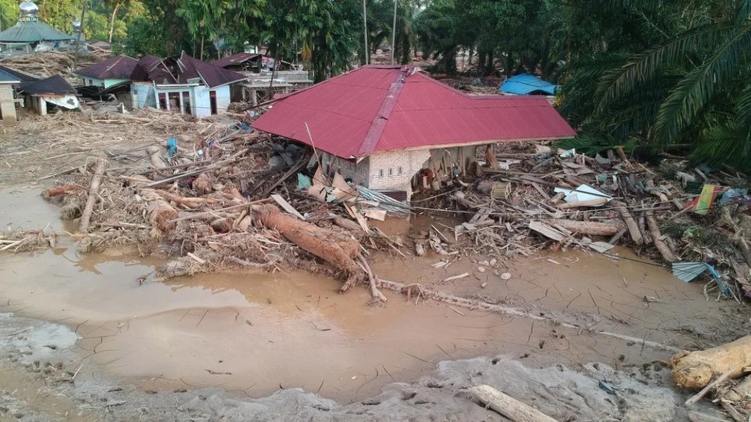 Update BNPB: Korban Bencana Banjir Sumatera Capai 780 Orang Tewas, 564 Hilang