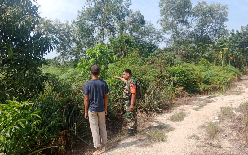 Sertu Mahyudin Ajak Warga Purnama Olah Lahan Pertanian Ramah Lingkungan