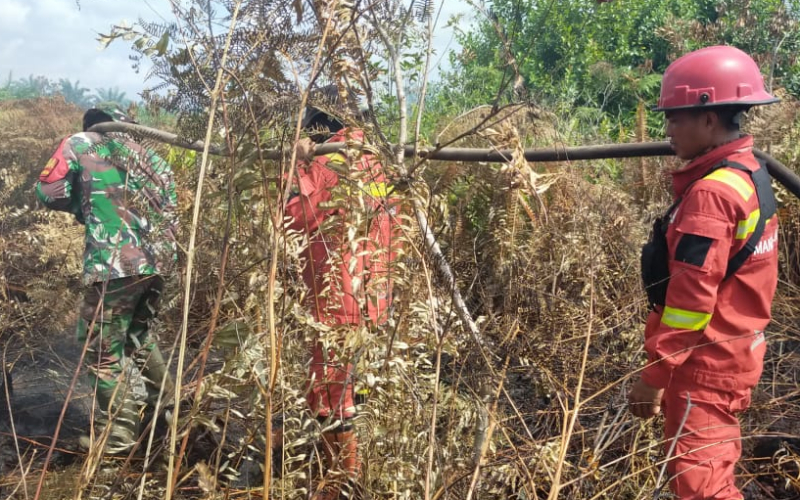 Hari Keempat Karhutla, Kodim 0320 Dumai Intensifkan Pendinginan Bersama Tim Gabungan