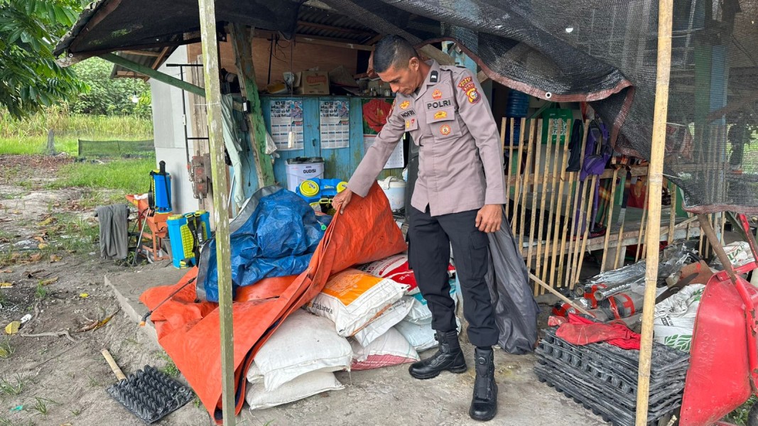 Dukung Ketahanan Pangan, Polsek Koto Gasib Siapkan Stok Pupuk untuk Lahan Jagung 1 Hektare