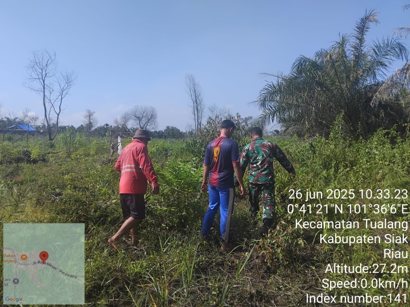 Babinsa Perawang Kopda Gunariadi Laksanakan Patroli Karhutla, Wilayah Terpantau Aman Dari Titik Api