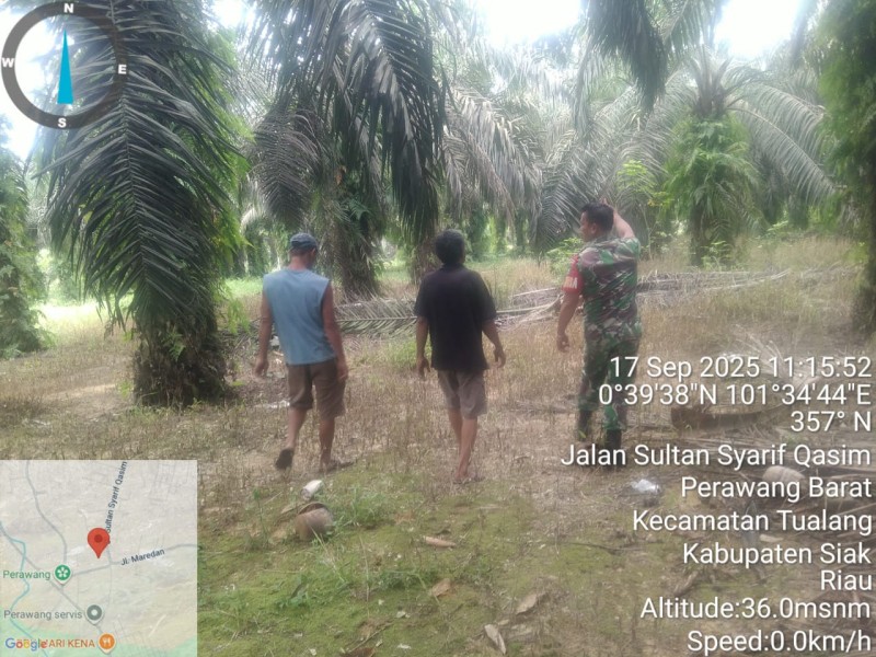 Babinsa Koptu Togi Sitorus Gelar Patroli Karhutla di Perawang Barat, Tidak Ditemukan Titik Api