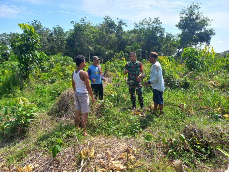 Serma Sri Wahyudi Patroli Karhutla di Lubuk Jering, Situasi Aman dan Nihil Titik Api