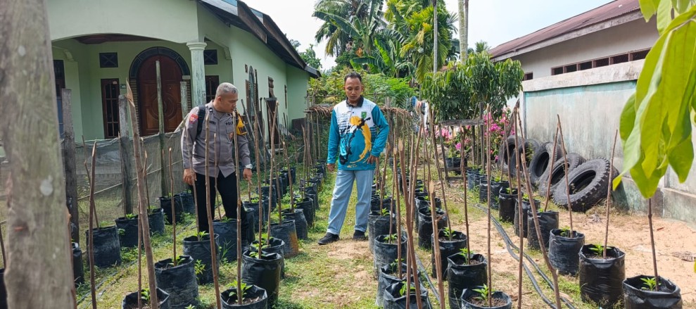 Bhabinkamtibmas Sungai Lala Dorong Warga Kembangkan Budidaya Cabe Rawit untuk Ketahanan Pangan