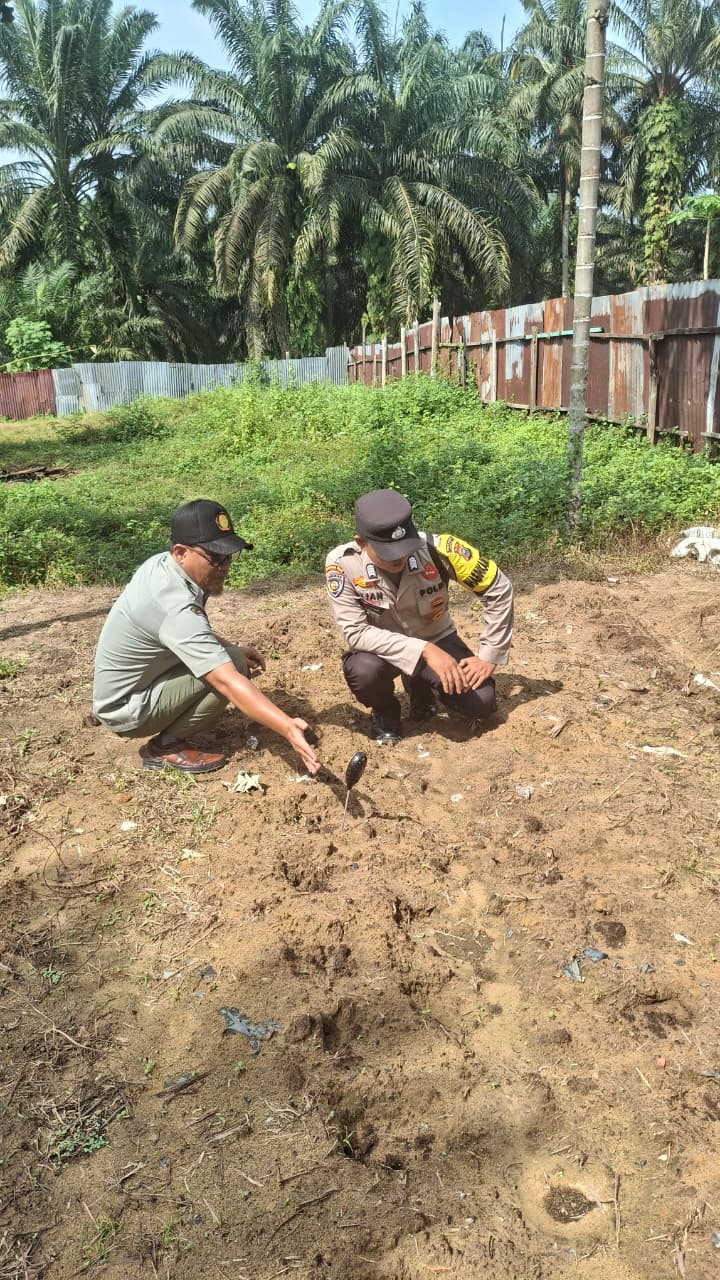 Dampingi Petani, Bhabinkamtibmas Minas Jaya Cek Kesiapan Lahan Jagung Pipil Seluas 0,5 Hektare