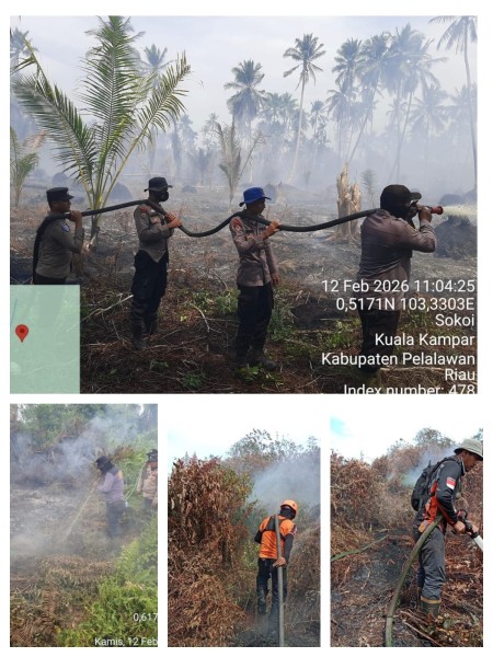 Karhutla Menggila, Ratusan Hektare Terbakar di Pulau Terluar Pelalawan