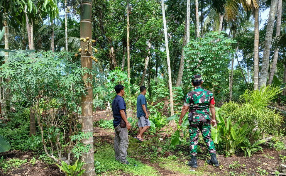 Babinsa Koramil 06/Kateman Laksanakan Patroli Karhutla di Kelurahan Amal Bakti