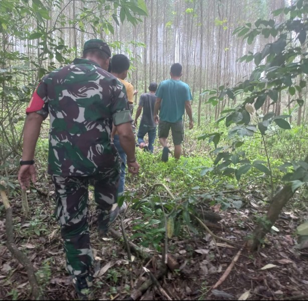 Sertu Sarju Patroli Karhutla di Pinang Sebatang, Tidak Ditemukan Titik Api