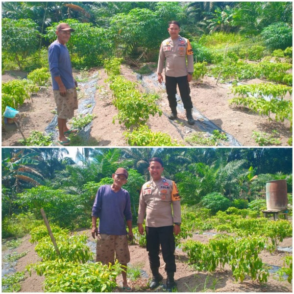 Kapolres Dumai: Ketahanan Pangan Tanggung Jawab Bersama, Polri Siap Berkontribusi