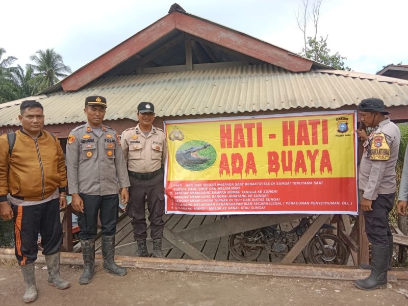 Warga Kubu Resah, Buaya Muara Muncul di Sungai Tengkolan, Polisi Turun Tangan