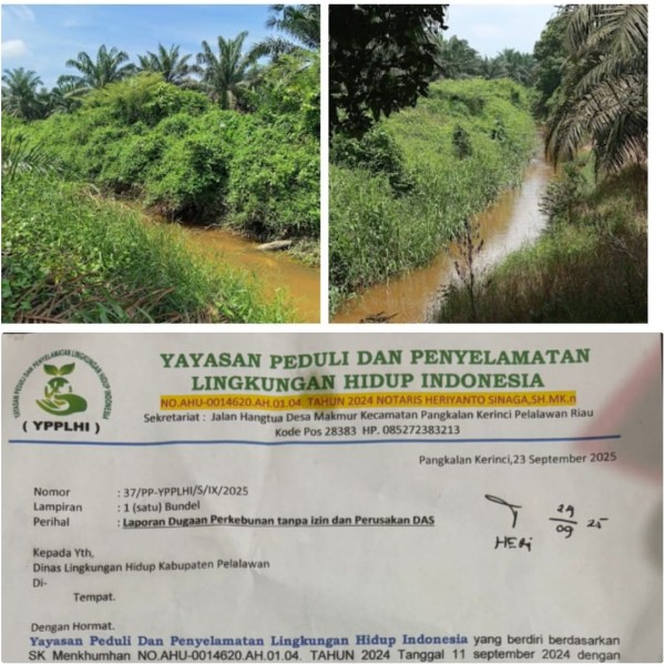 DLH Kecolongan? YPPLHI Bongkar Kebun Sawit Ilegal di Tengah Kota