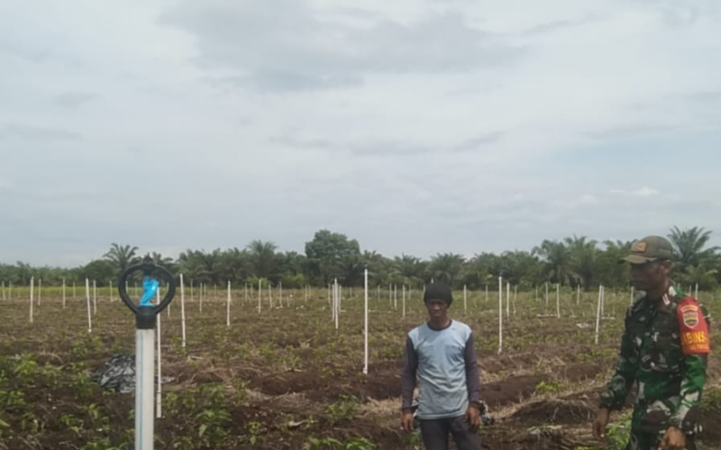 Babinsa Tanjung Penyebal Laksanakan Karya Nyata