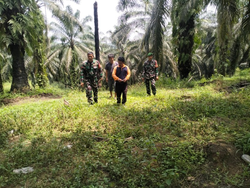 Koptu Salomo Sembiring Laksanakan Patroli Karhutla di Minas Jaya, Tidak Ditemukan Titik Api