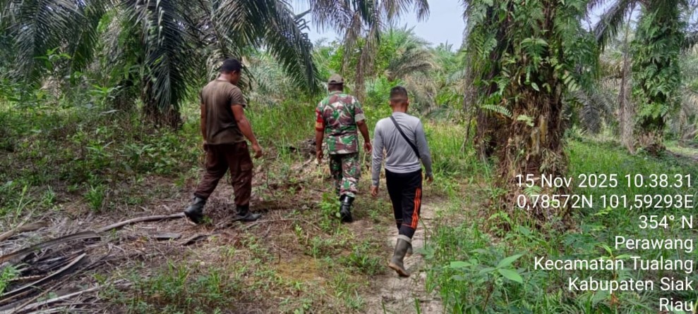 Sertu Sarju Gelar Patroli Karhutla di Perawang, Tidak Ditemukan Titik Api