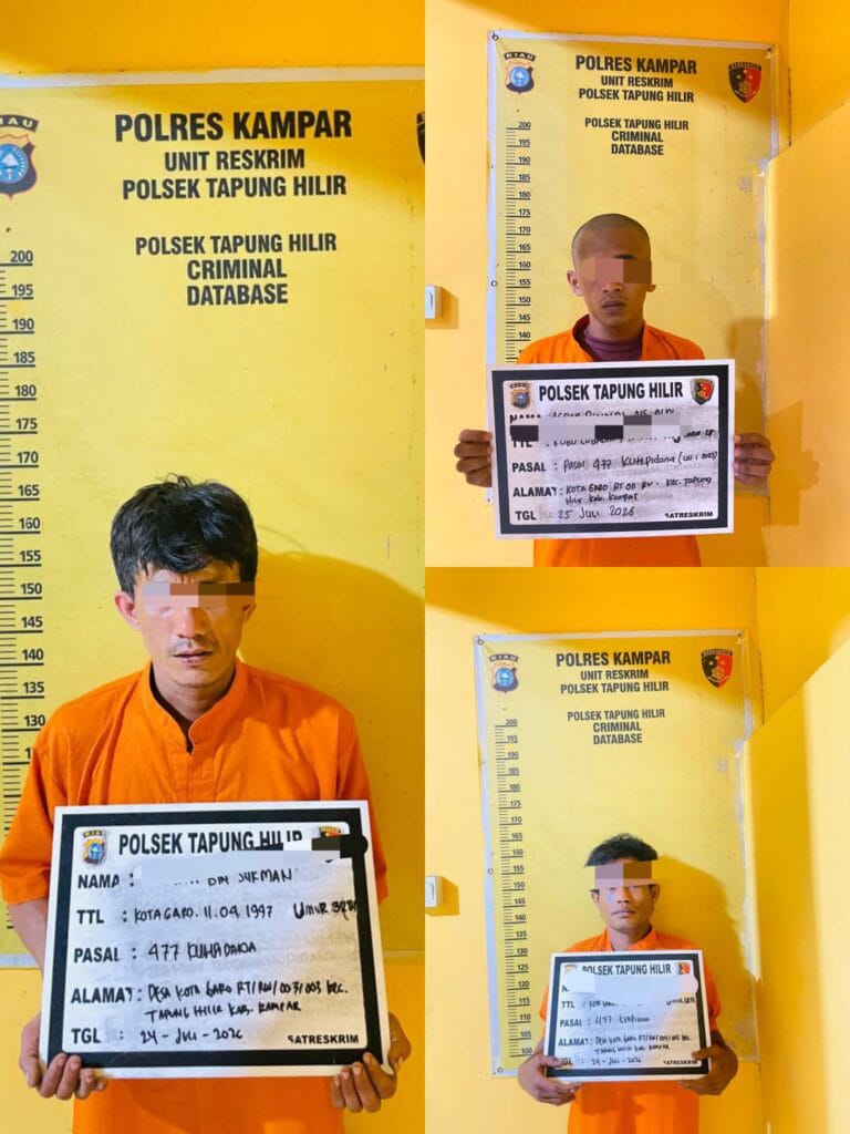 Polsek Tapung Hilir Tangkap Tiga Pelaku Pencurian di Kandang Ayam