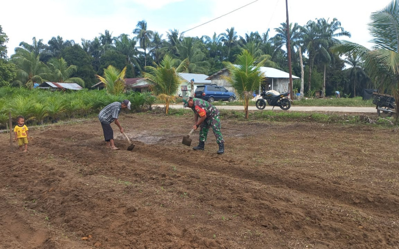 Babinsa Bukit Nenas Bantu Masyarakat Tingkatkan Hasil Panen