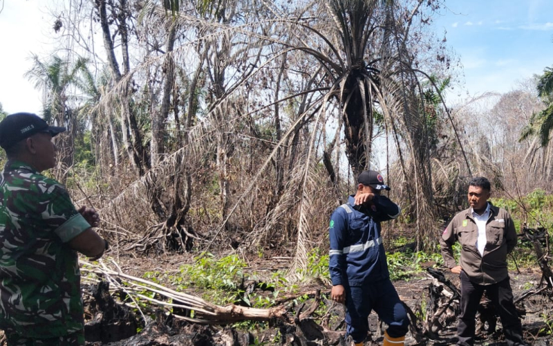 Patroli Karhutla di Bukit Kapur, Babinsa Ajak Warga Tidak Membakar Lahan