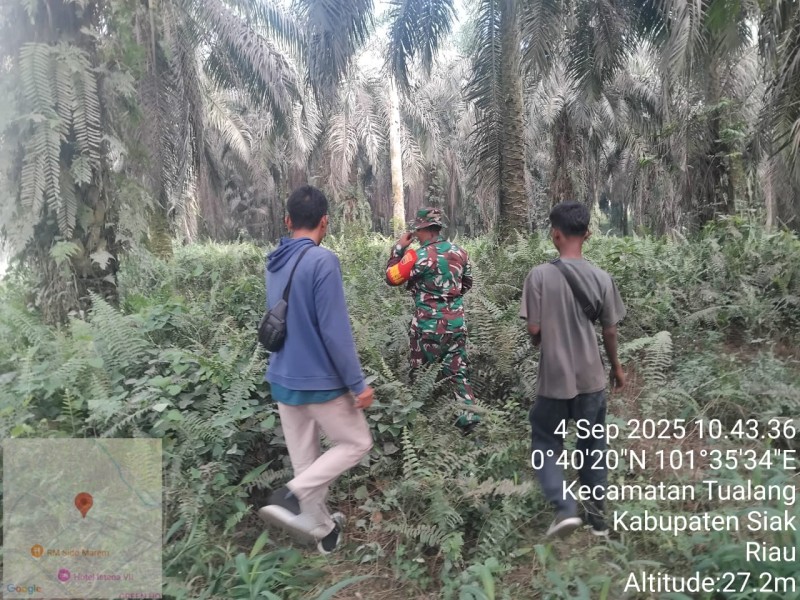 Babinsa Kopda Gunariadi Laksanakan Patroli Karhutla di Perawang Barat