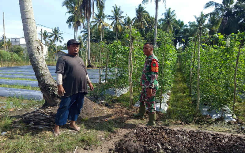 Patroli Karhutla Terpadu, Babinsa Koramil 01 Dumai Dukung Ketahanan Pangan Warga