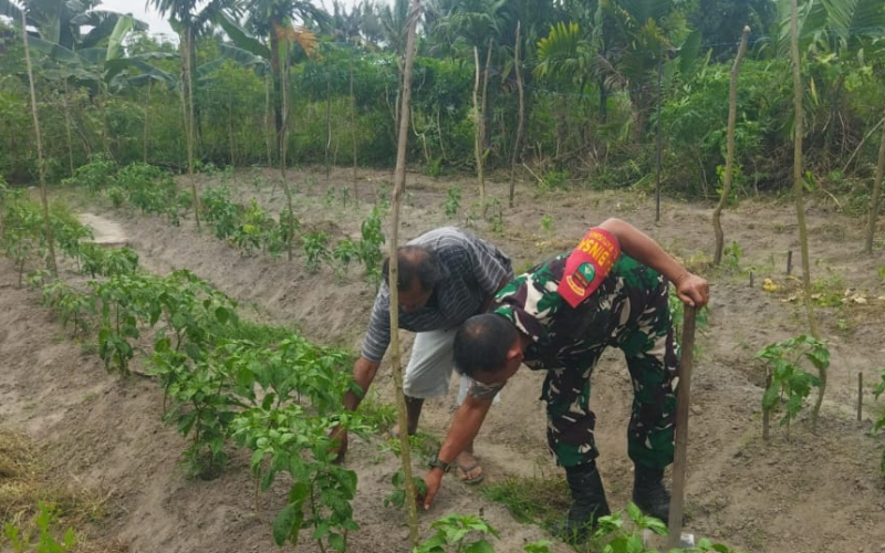 Babinsa Ratu Sima Patroli Karhutla, Ajak Warga Cegah Banjir dan Dukung Pertanian
