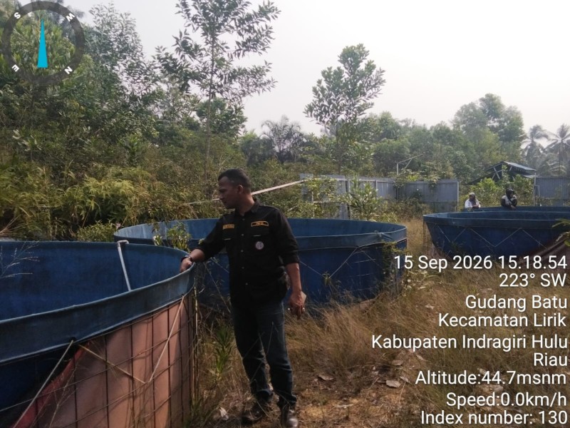 BUMDes Gudang Batu Gagal Kelola Usaha Kolam Ikan, Ratusan Juta Rupiah Modal Dipertanyakan