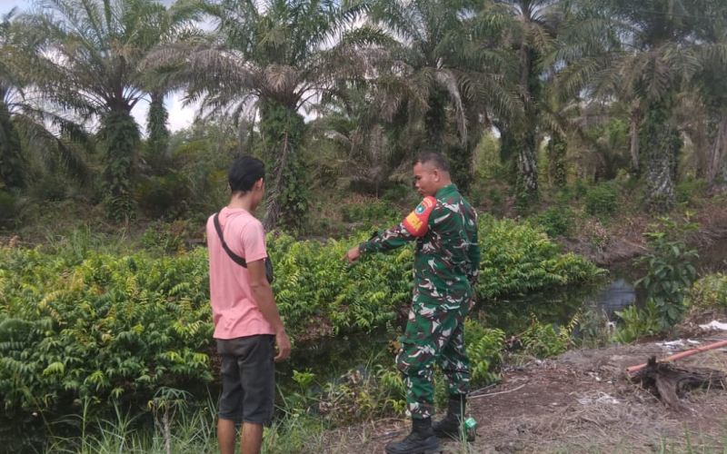 Antisipasi Karhutla, Babinsa Dumai Sisir Lahan Gambut di Kilang Manis