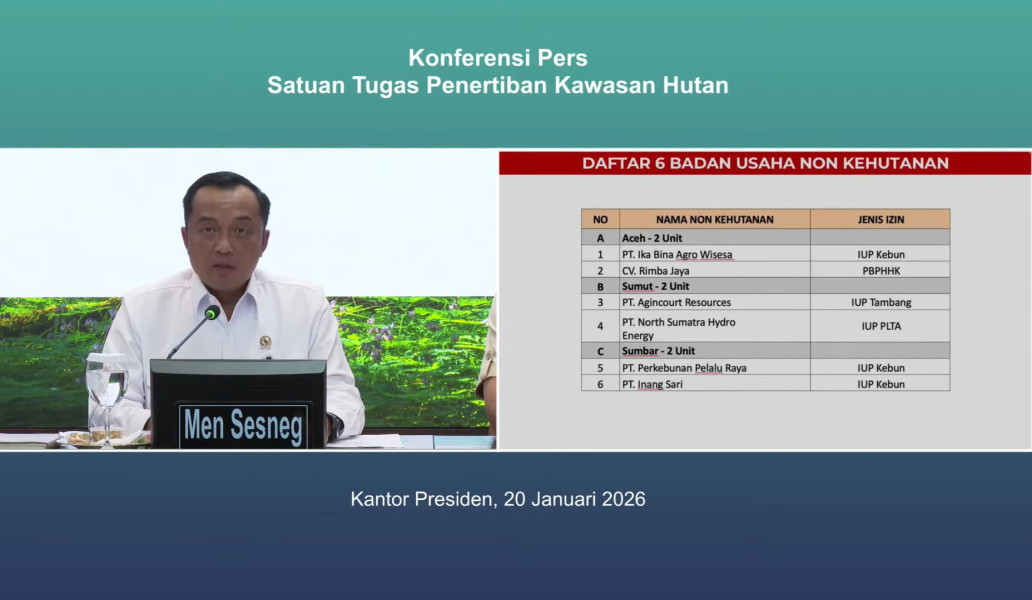 Presiden Cabut Izin 28 Perusahaan, Ada Sumatera Riang Lestari dan Minas Pagai, Ini Datanya!
