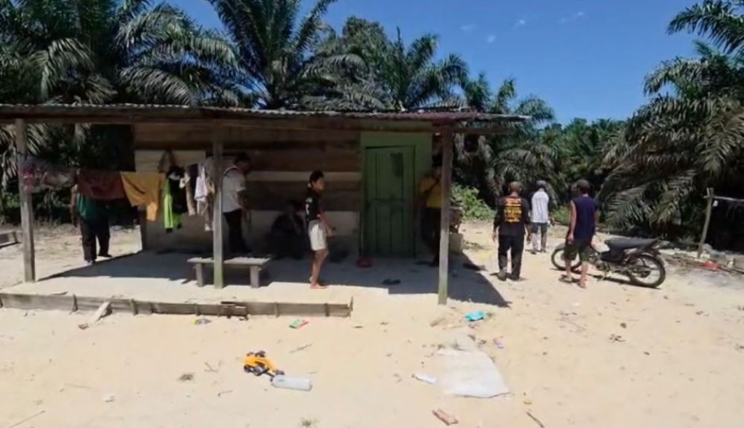 Satu Keluarga Diserang Gajah Liar di Muara Fajar Rumbai, Sardo Purba Panik Putrinya Luka Parah