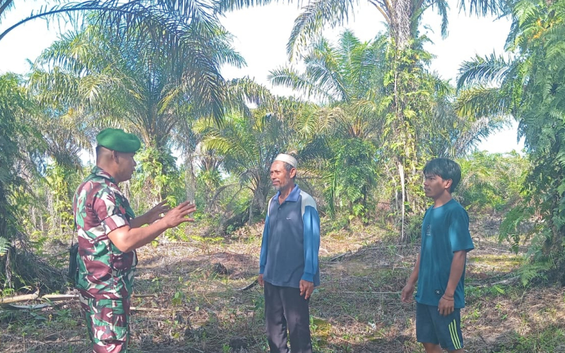 Koramil 01/Dumai Gencarkan Patroli Karhutla, Koptu M. Togatorop Pantau Lahan Gambut
