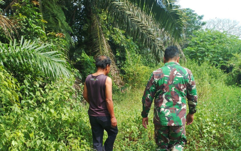 Patroli Babinsa 03 Sungai Sembilan, Jaga Hutan dan Lahan dari Karhutla