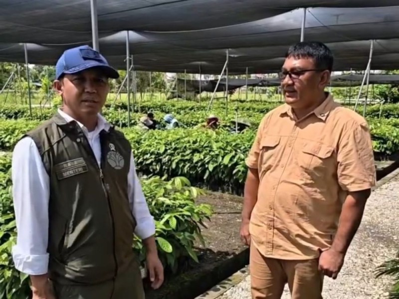 Rehabilitasi TNTN, Menhut RI Siapkan Trembesi hingga Kulim