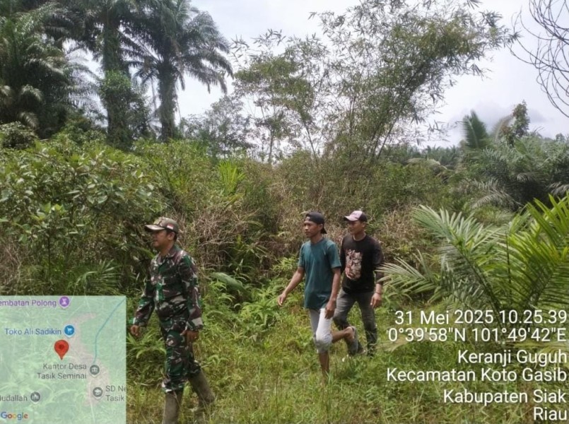 Babinsa Koramil 04/Perawang Gencar Patroli Karhutla, Pastikan Nihil Titik Api di Koto Gasib