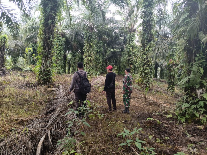 Babinsa Serda Haris Sandya Pratama Laksanakan Patroli Cegah Karhutla di Muara Kelantan, Sungai Mandau